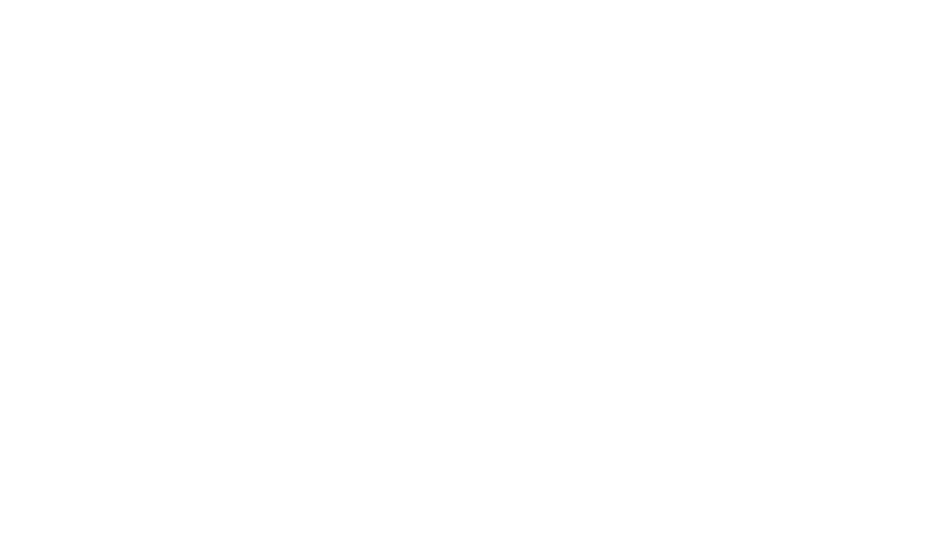 Socio comercial Fiebre elementor