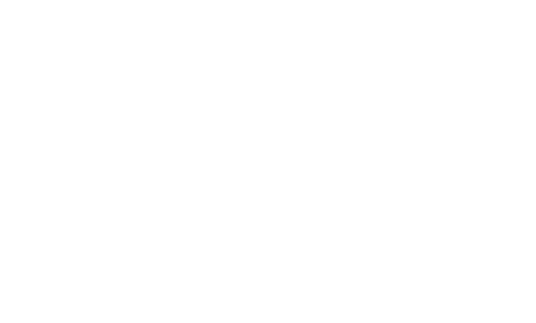 Socio comercial Fiebre Sendcloud
