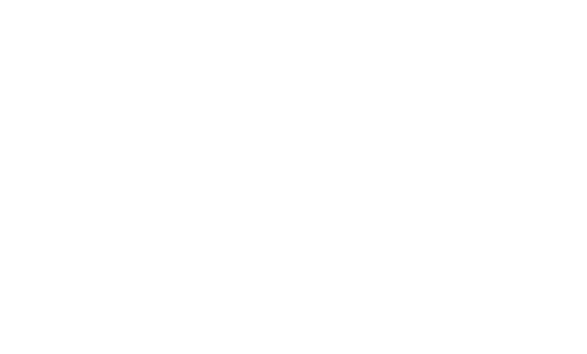 Socio comercial Fiebre Hootsuite