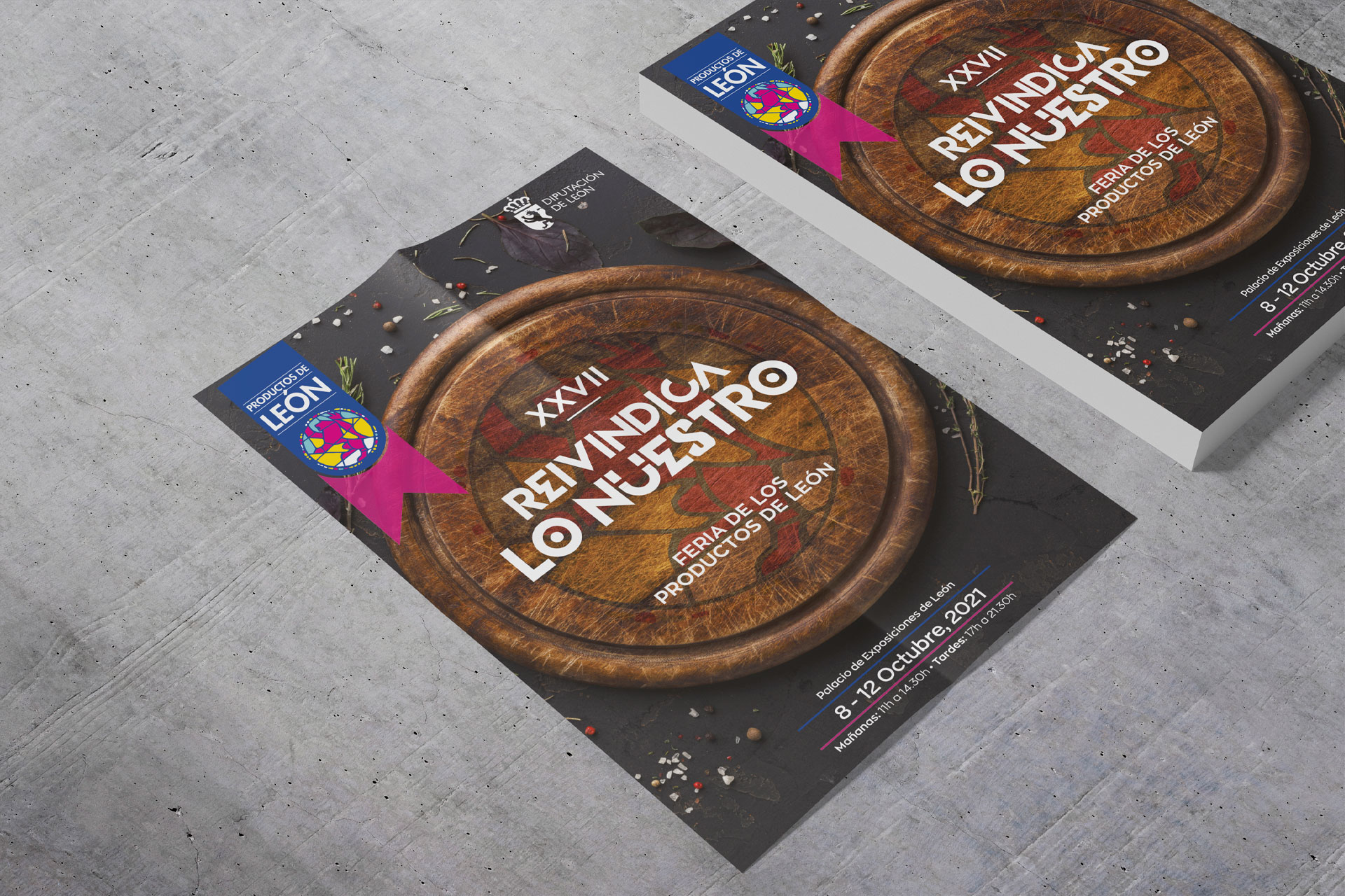 diseno de carteleria diputacion de leon